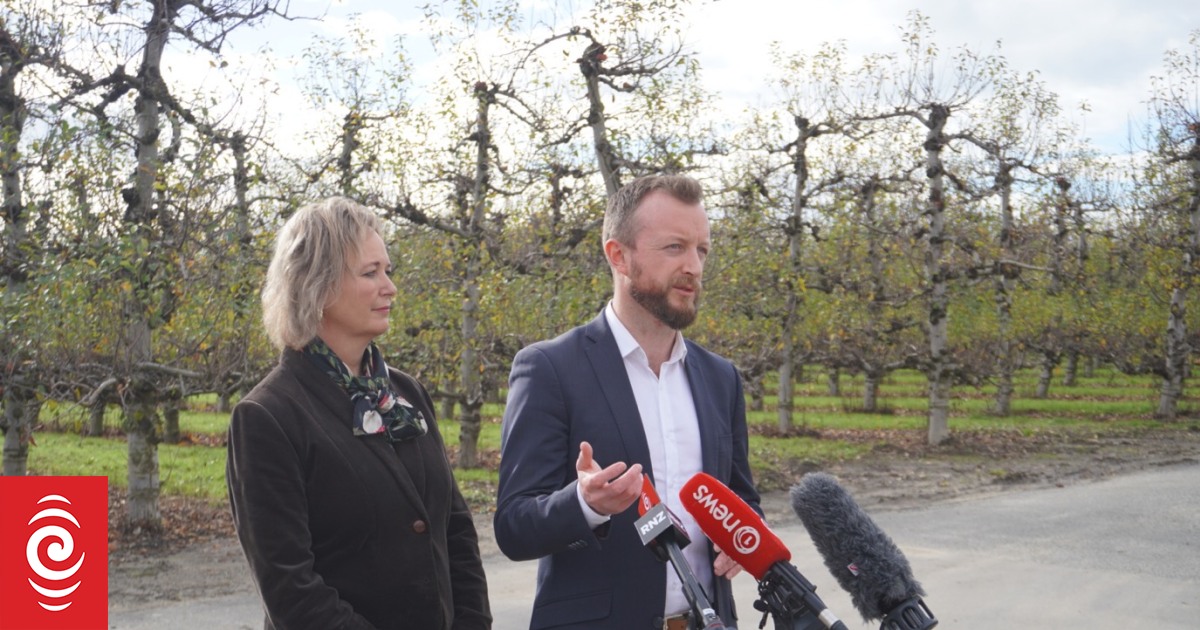 Support for farmers and growers following severe weather, government inquiry announced - Vimarsana News