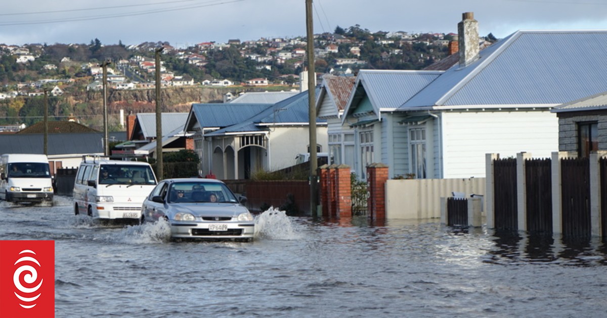 Dunedin council plans to buy up properties in flood-prone south - Vimarsana News