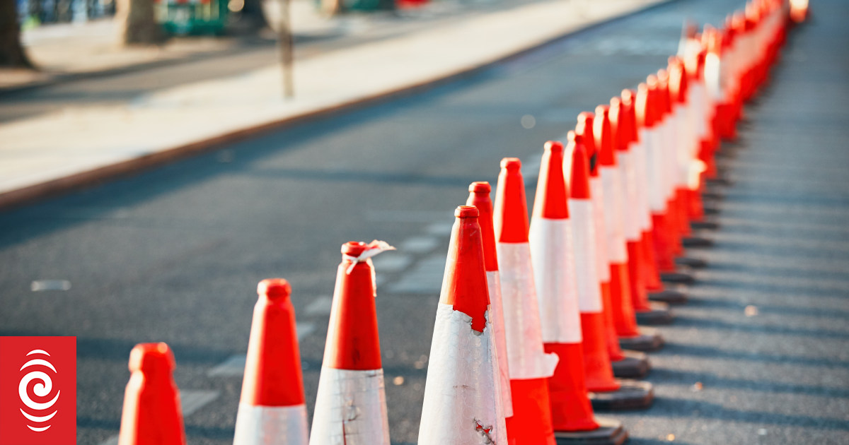 Barking mad: Aucklanders annoyed at Meola Road summer closure - Vimarsana News