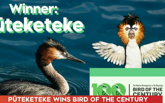 Bird of the Century winner announced live on TVNZ Breakfast.