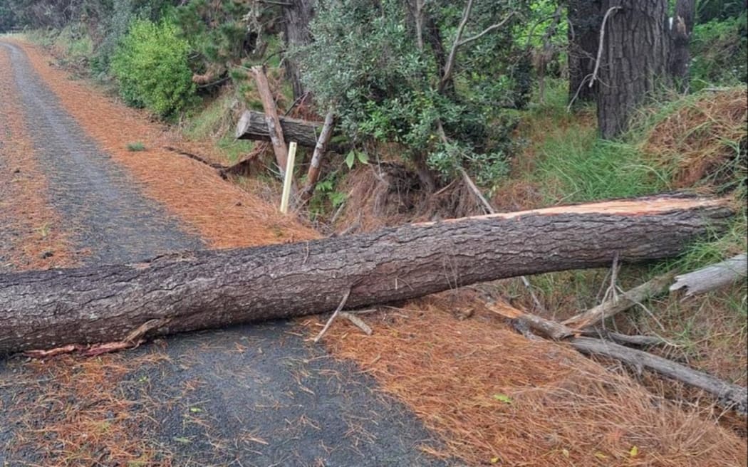 飓风加布里埃尔正在远北地区造成严重破坏，导致树木和电力线倒塌。 Top Energy NZ 拍摄的照片