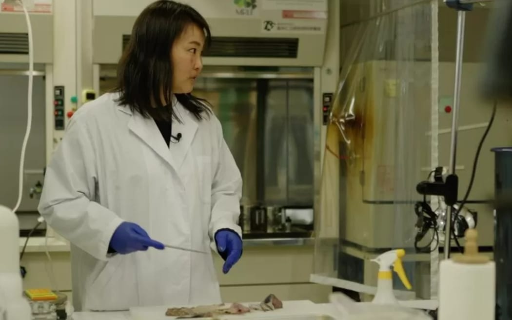 Ai Kimura tests samples for radiation at the Tarachine lab