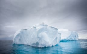 Iceberg drifting - Antarctic Peninsula.