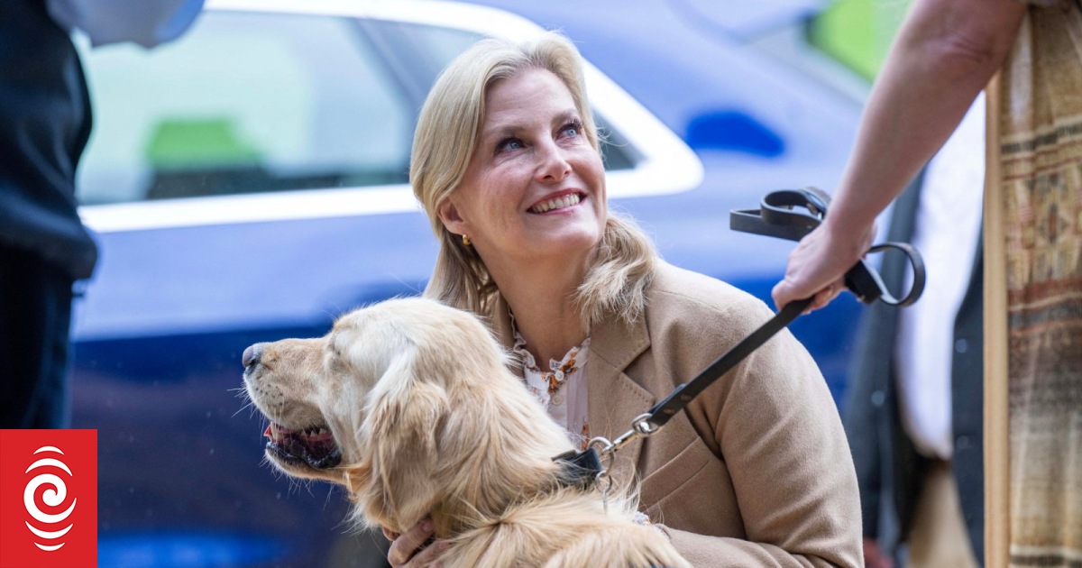 Starsza kobieta umiera po potrąceniu przez policyjny motocykl, który towarzyszył Royal