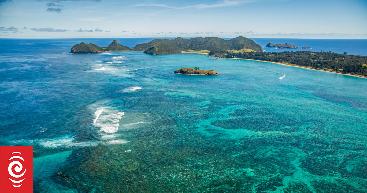 Student rediscovers 'extinct' cockroach on Lord Howe Island RNZ News