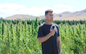 The Brothers Green co-founder Brad Lake speaking on a Culverden hemp farm.
