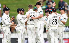 New Zealand cricketers celebrate a Tim Southee wicket.