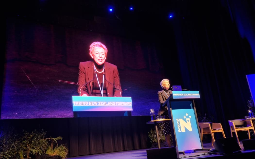 New National party president Sylvia Wood on stage at the party's conference.