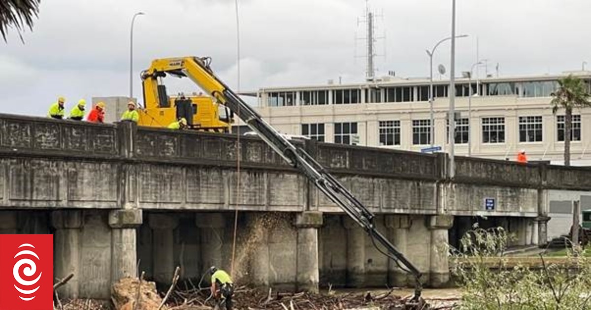 Federated Farmers calls for inquiry into ex-tropical Cyclone Hale damage factors