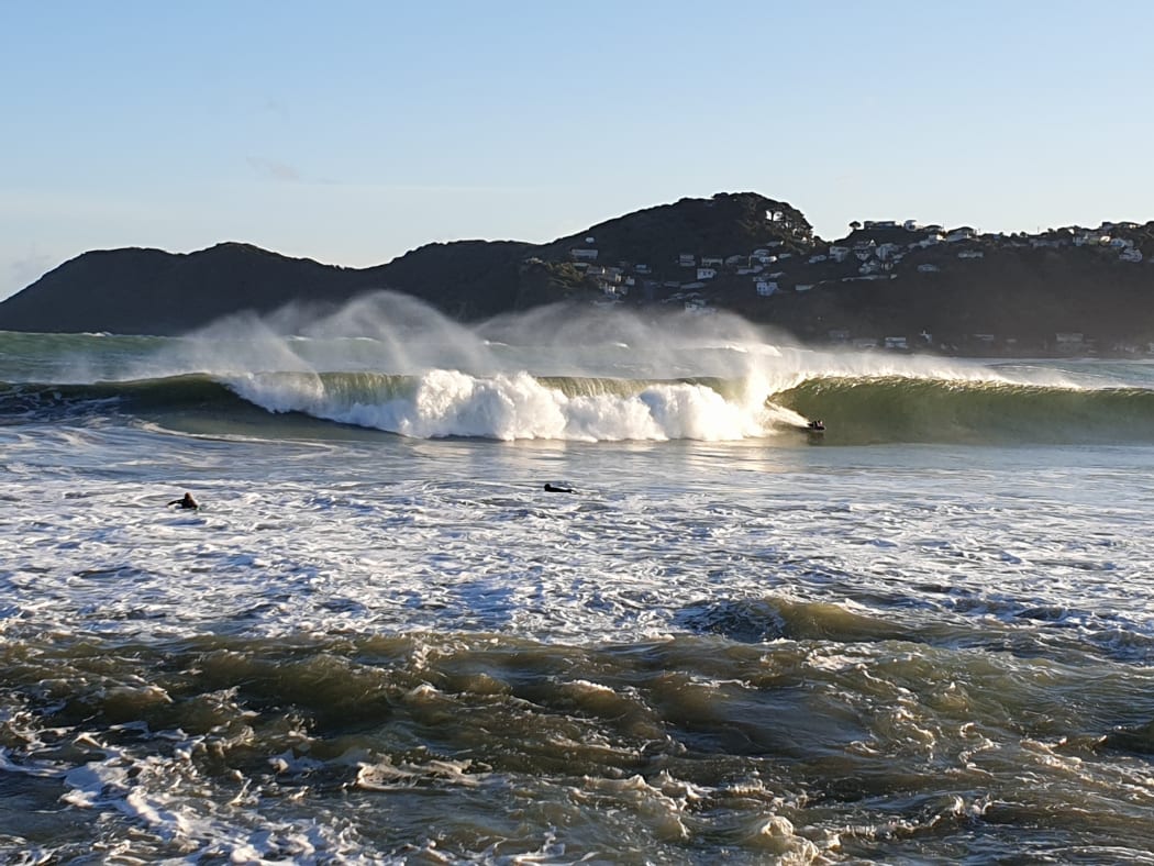 Surf's up Lyall Bay's biggest waves in 20 years RNZ News