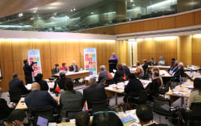 More than 30 delegates from Pacific countries met in Wellington to discuss prioritising sexual and reproductive health in the UN sustainable development goals.