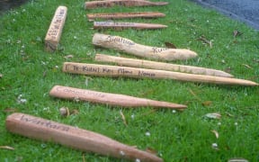 rough wooden pegs lie on the grass