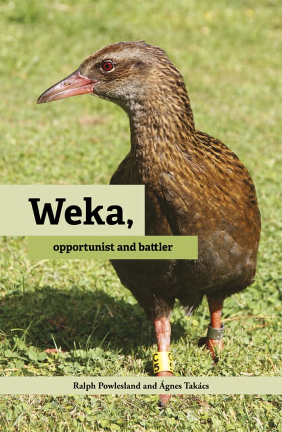 Weka book cover