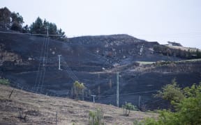 Burnt land on the hills near Waimarama Rd in Hawkes Bay