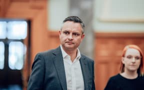 Green Party co-leader James Shaw