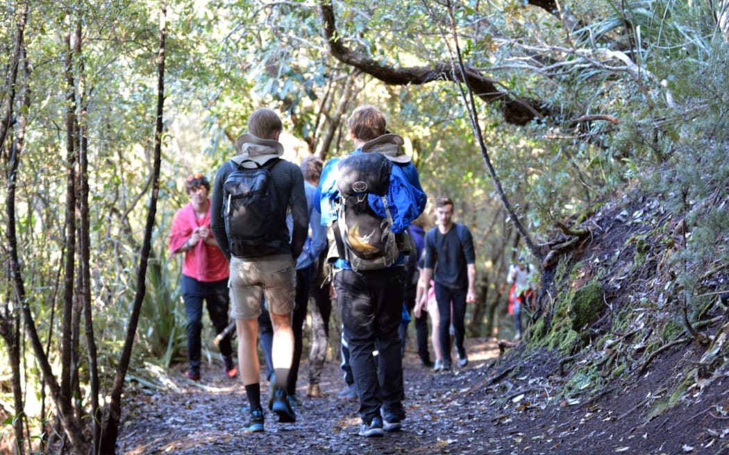 Tourist trekking on Rangitoto volcanic island in Auckland, New Zealand.