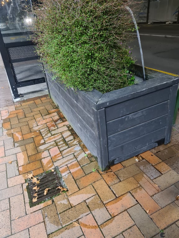 Masterton District Council was spotted using unattended watering with a damaged drip line amid strict water restrictions.