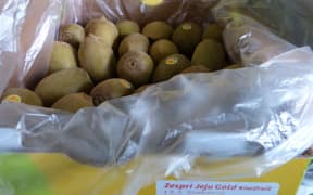 Gold kiwifruit grown under licence for Zespri on Jeju Island, Korea.