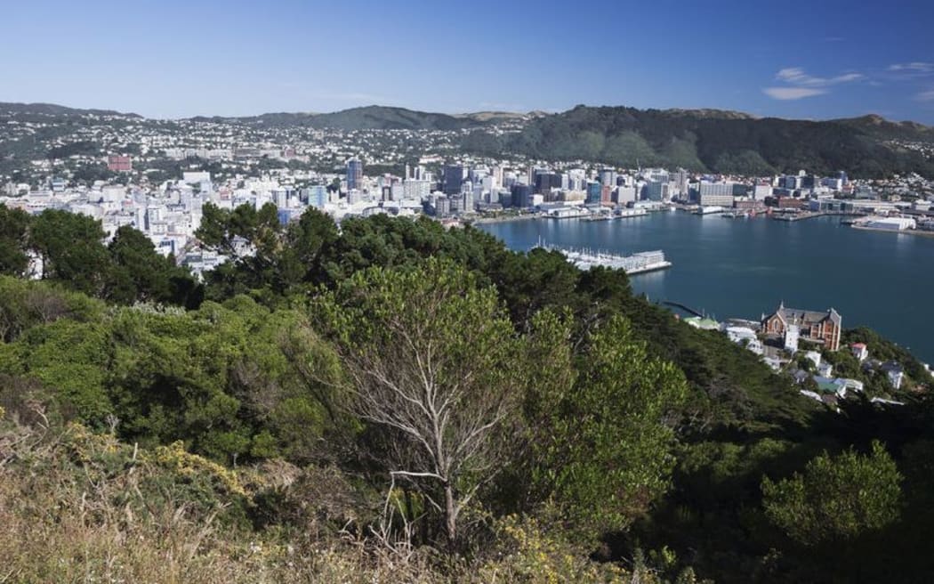 Wellington's town belt will grow by 120 hectares.