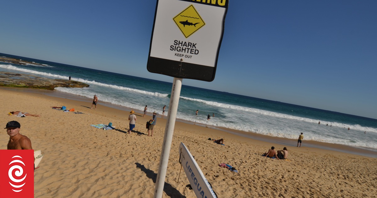 Christchurch beach cleared due to shark warning