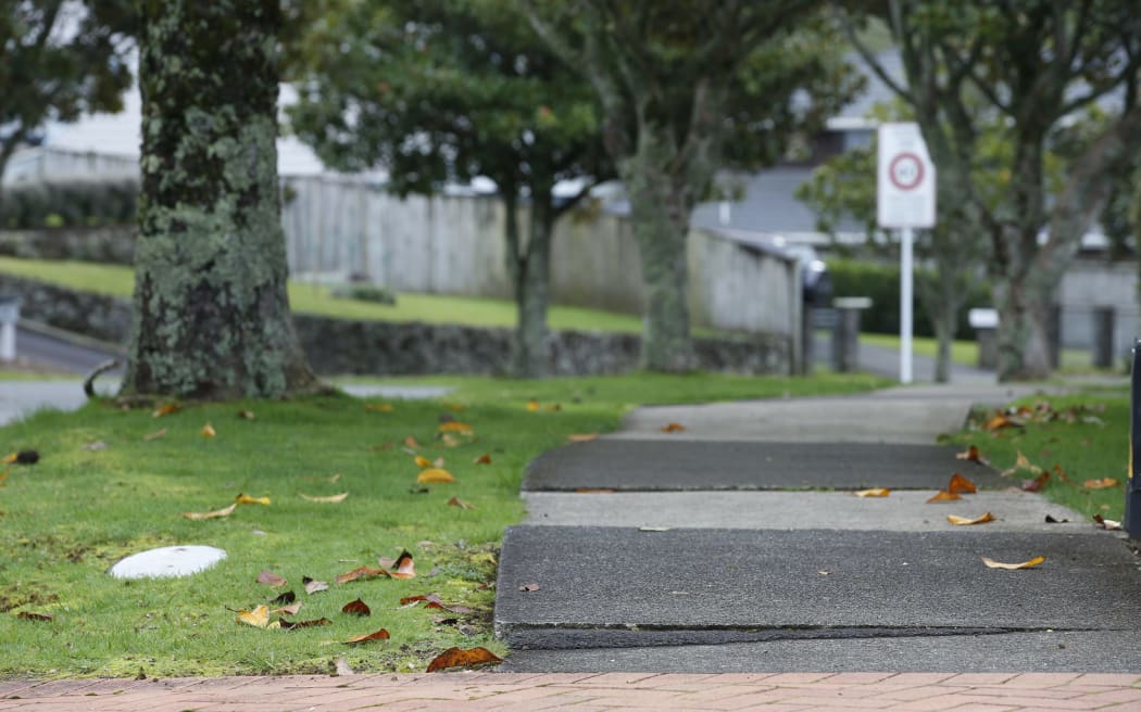 Cracked payments from Brentwood Avenue's 27-year-old magnolia trees.