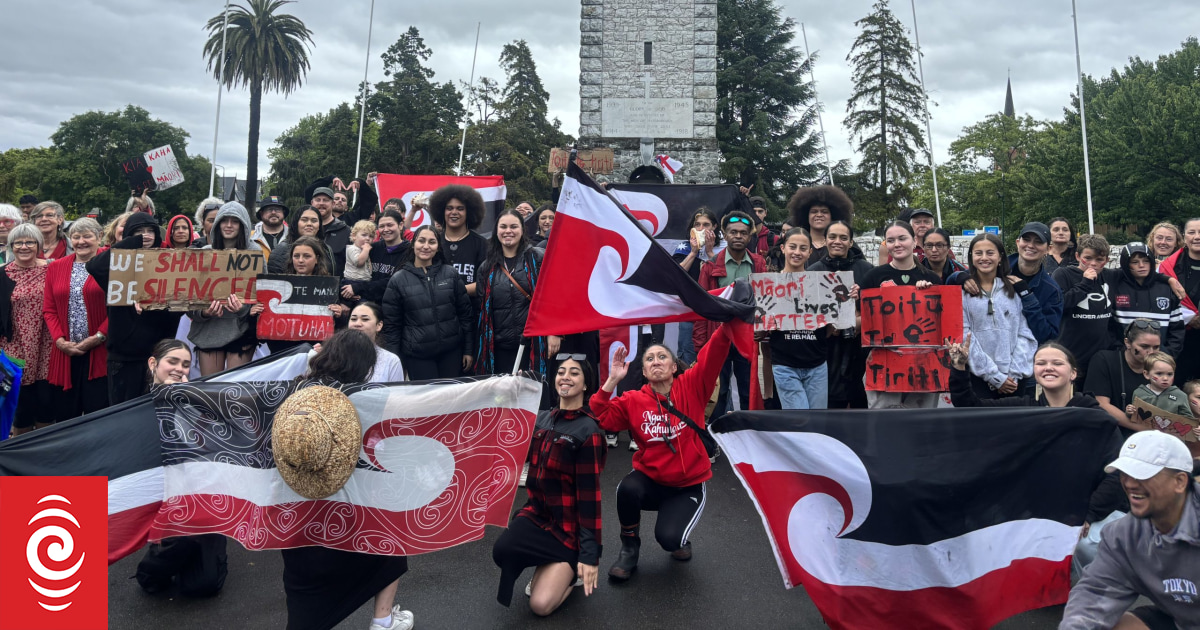 Rangatahi lead hīkoi in 'shy' Blenheim: 'We're not too young to be affected' - Vimarsana News