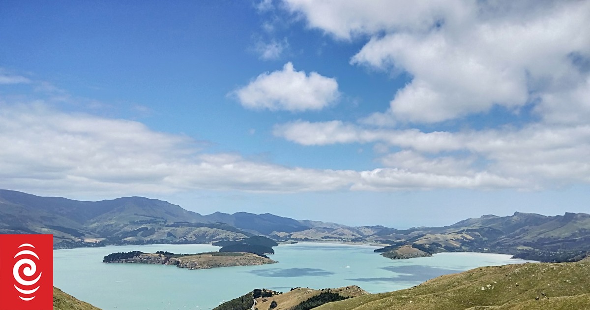 Whakaraupō/Lyttelton Harbour contaminated by faeces after rainfall, tests show