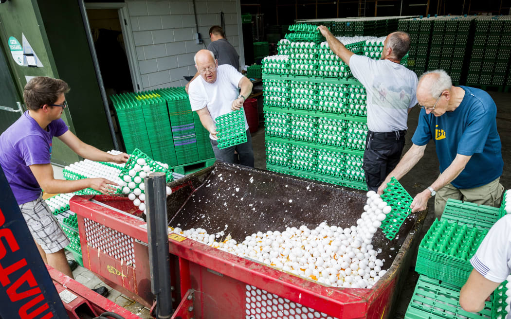 Farmers throw eggs after tests found Dutch eggs contaminated by fipronil which can be harmful to humans.