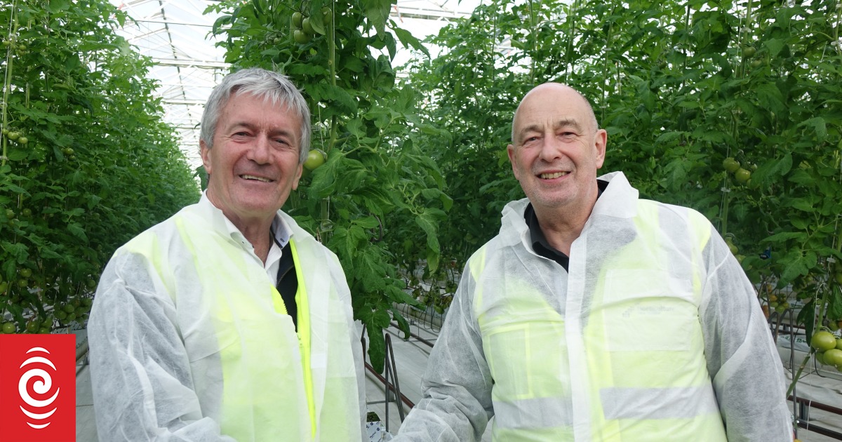 Post-Covid horticulture strategy aims to tackle harvesters' challenges ...