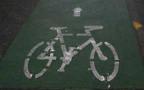 Photo Diego Opatowski / RNZ. Bicycle lane