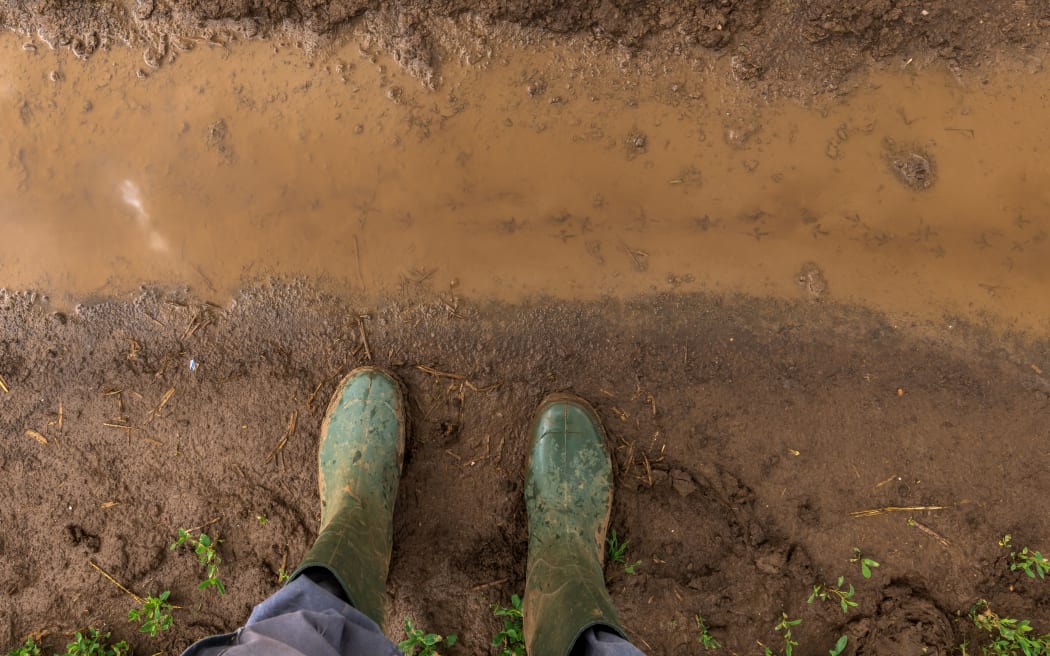 Farmer in rubber boots standing on muddy dirt road in countryside, feet from above
