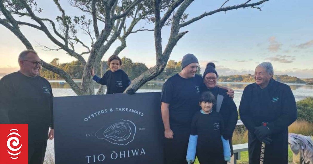 'A dream from growing up' - Bay of Plenty oyster farm owner - Vimarsana News