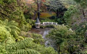 The Duck Pond at the Wellington Botanical garden, New Zealand