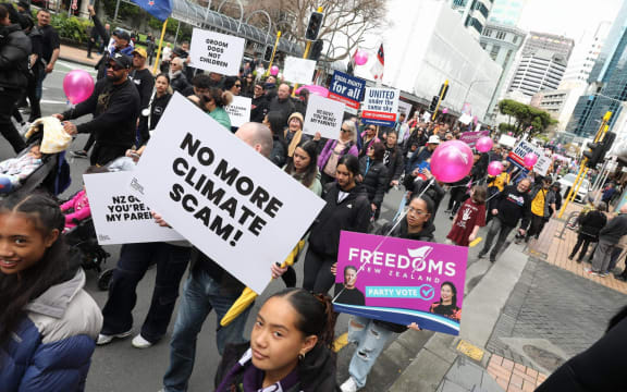 Protesters advertising the Freedoms NZ party march.