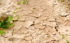 Papua New Guinea Highlands affected by drought.