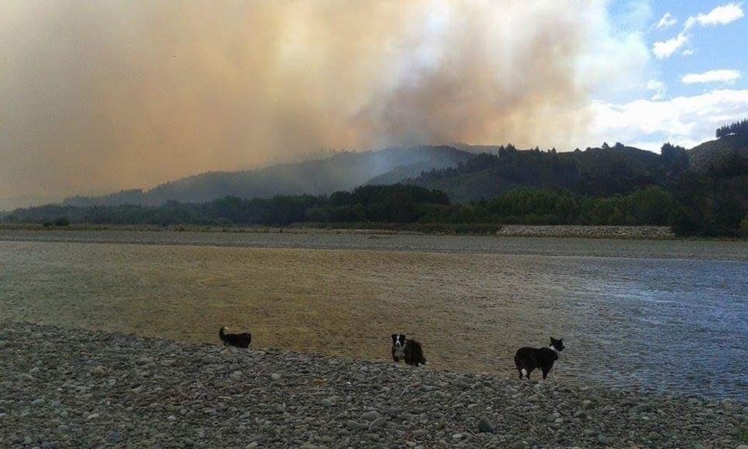 A large forest fire burning in the Waikakaho Valley near Blenheim on 25 November 2015.