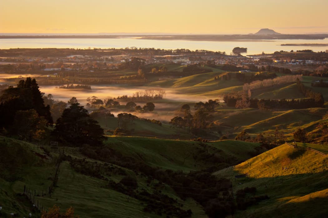 The Western Bay of Plenty town of Katikati is just two and a half hours drive from Auckland - but here $650,000 can buy you a four bedroom home with a garden.