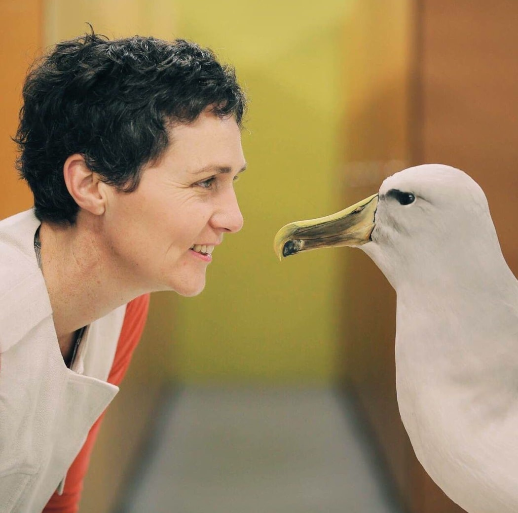 Susan Waugh Face to face with an albatross