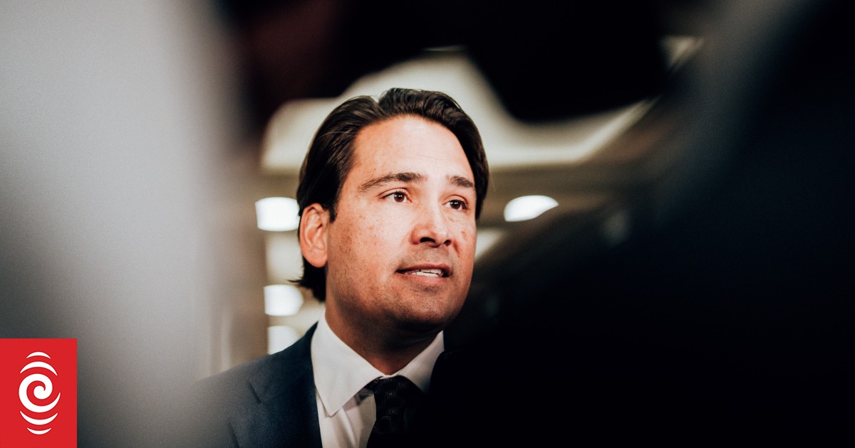 ‘Let’s not penny pinch’: Large scale investment in roading needed, Bridges says