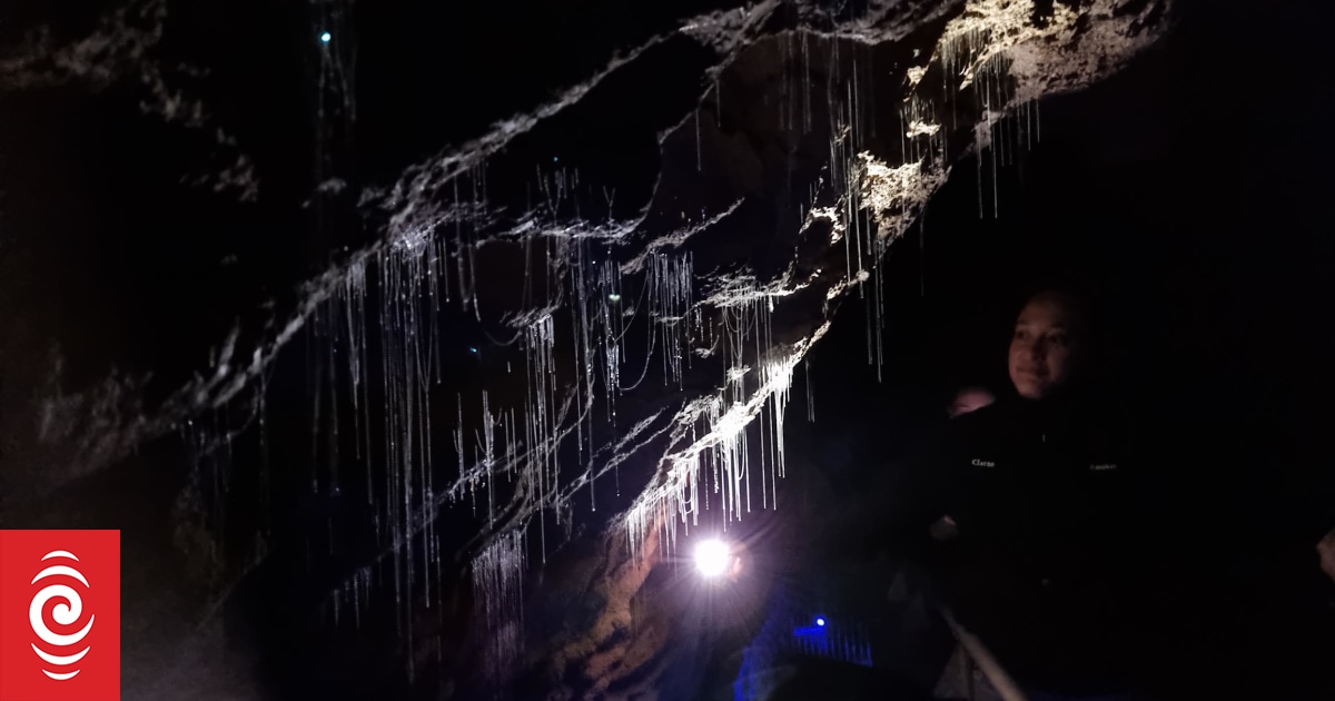 Covid-19 lockdowns an unexpected opportunity to study Waitomo Caves - Vimarsana News