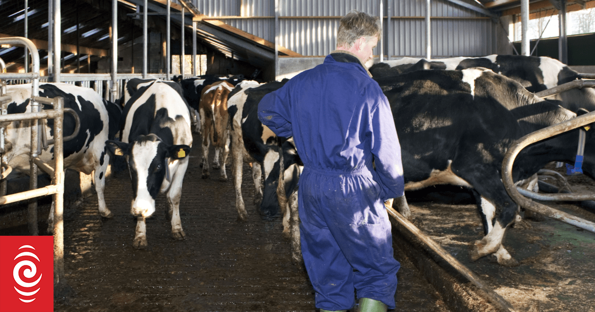 New Zealand Dairy Auction Price Index Falls 0.6 Percent