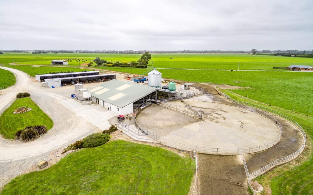 South Canterbury dairy farms sell for more than 70 million RNZ News