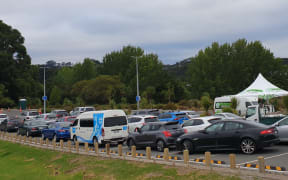 Queues at the Albany testing centre on 28 January.