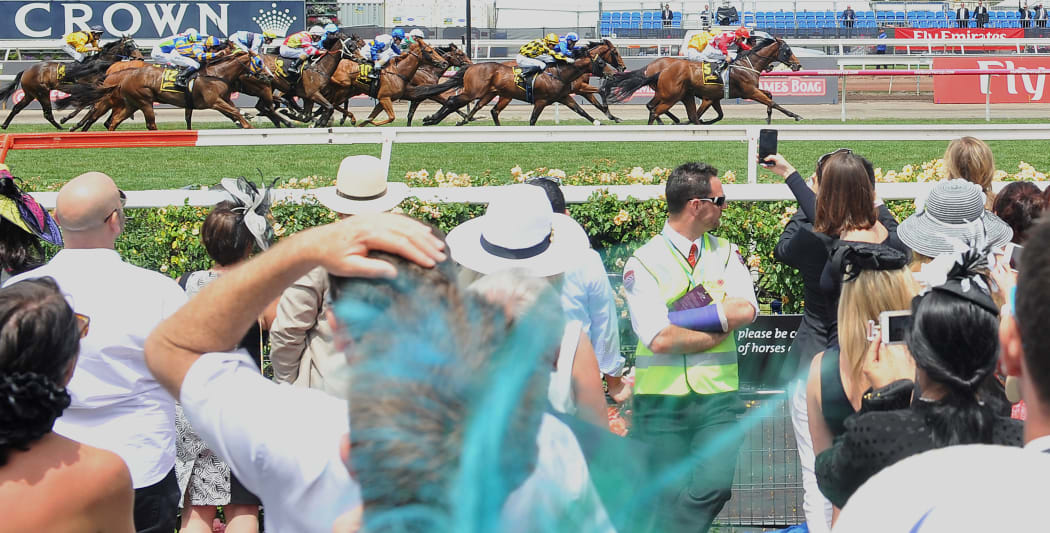 Horses thunder down the straight past the crowd during a race at Flemington Racecourse on Melbourne Cup day in Melbourne on 3 November 2015.