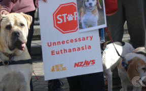 Calls for halt on euthanising animals used for research