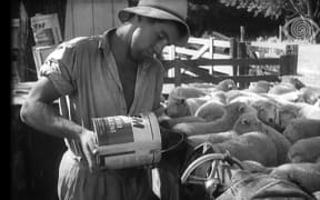Working on the farm in 1956