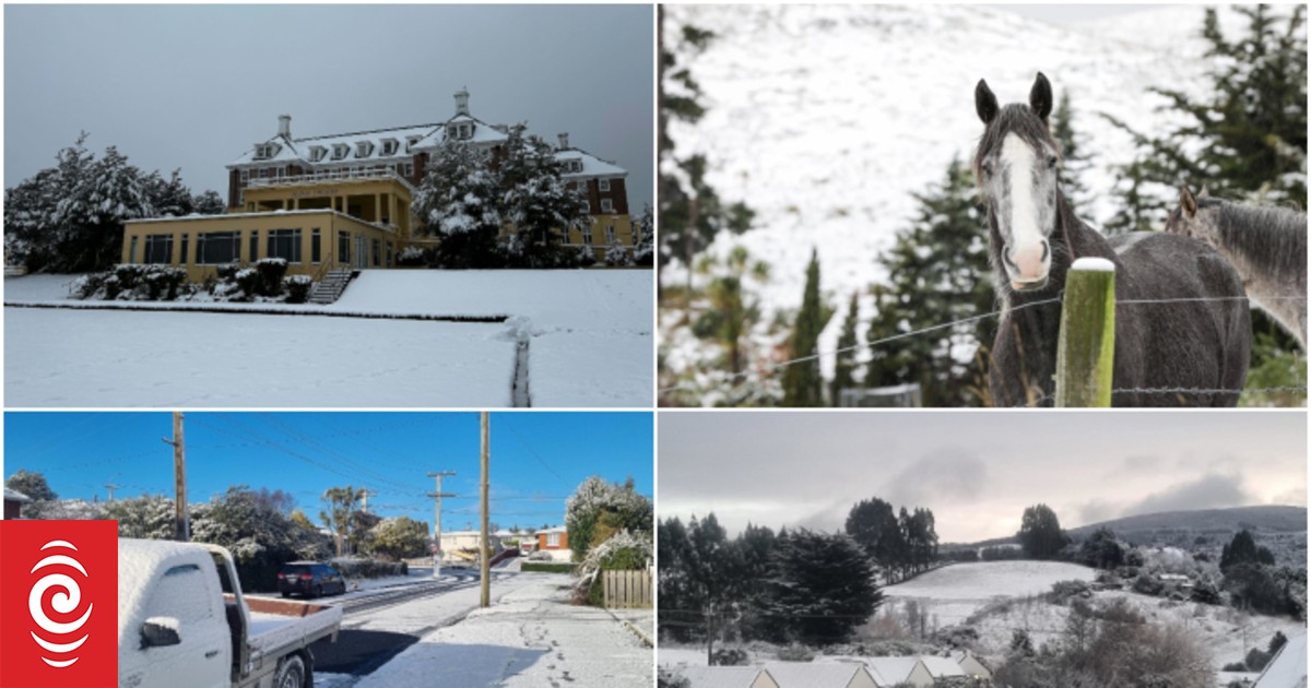 Photos: Polar blast sweeps across New Zealand - Vimarsana News
