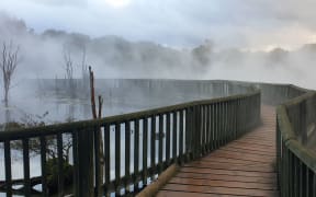 Generic photo of steam in Rotorua