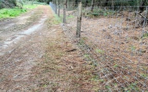 The wallaby fence is being constructed in the Whakarewarewa forest in Rotorua district.