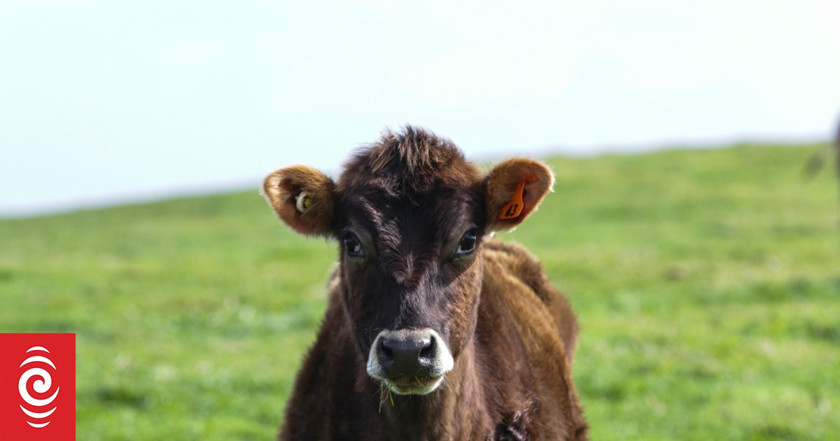 Fonterra adopts emissions 'intensity' reduction target - Vimarsana News